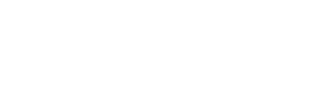Tiny House Policy